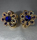 Gold & Blue Clover