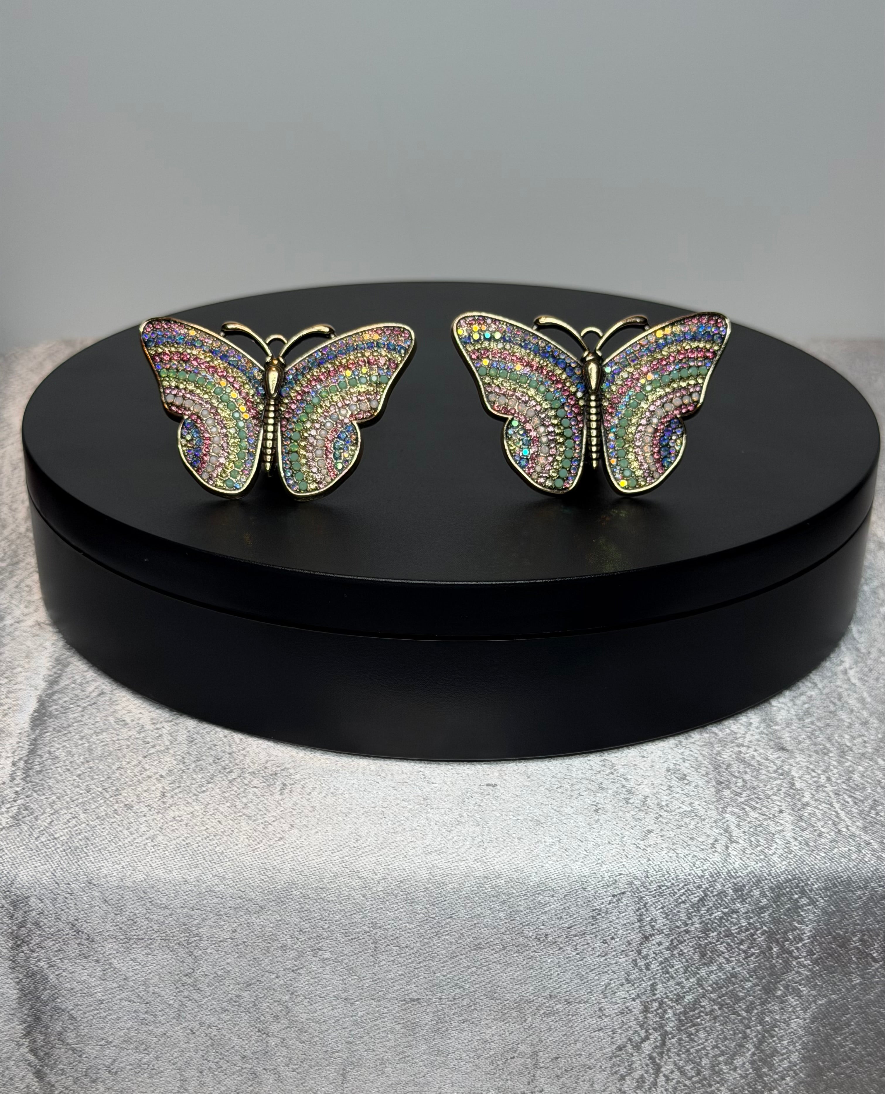 Colorful Butterfly